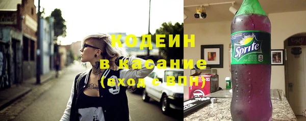 стафф Бородино