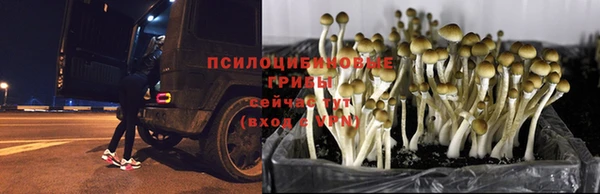ешки Бугульма