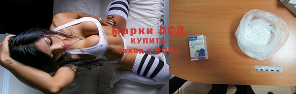 стафф Бородино